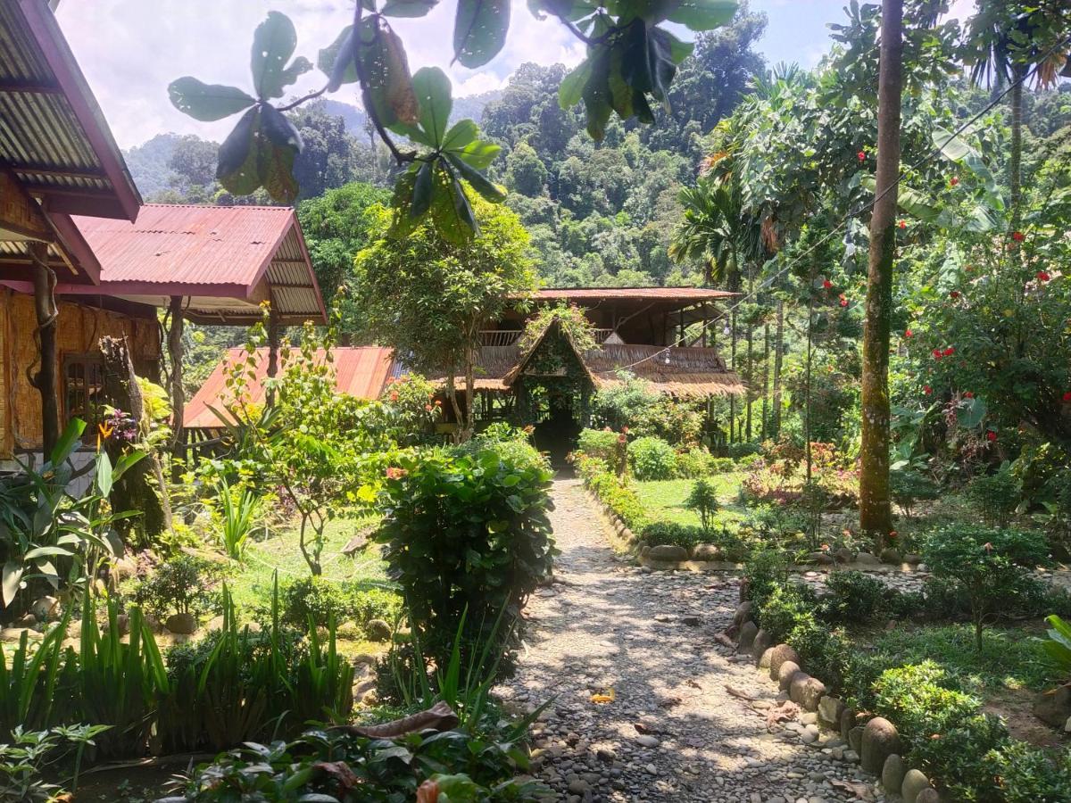 Mountain View Cottages & Villa Tangkahan Exterior photo