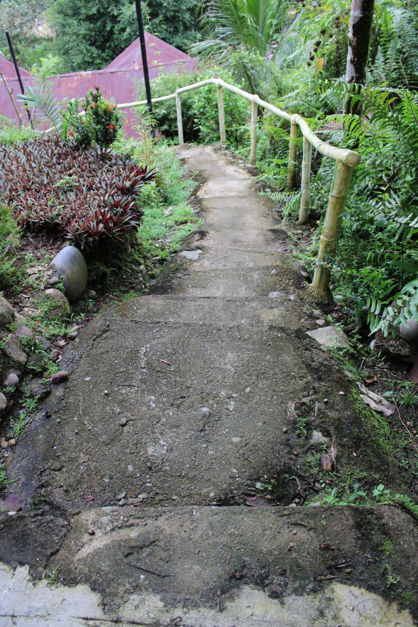 Mountain View Cottages & Villa Tangkahan Exterior photo
