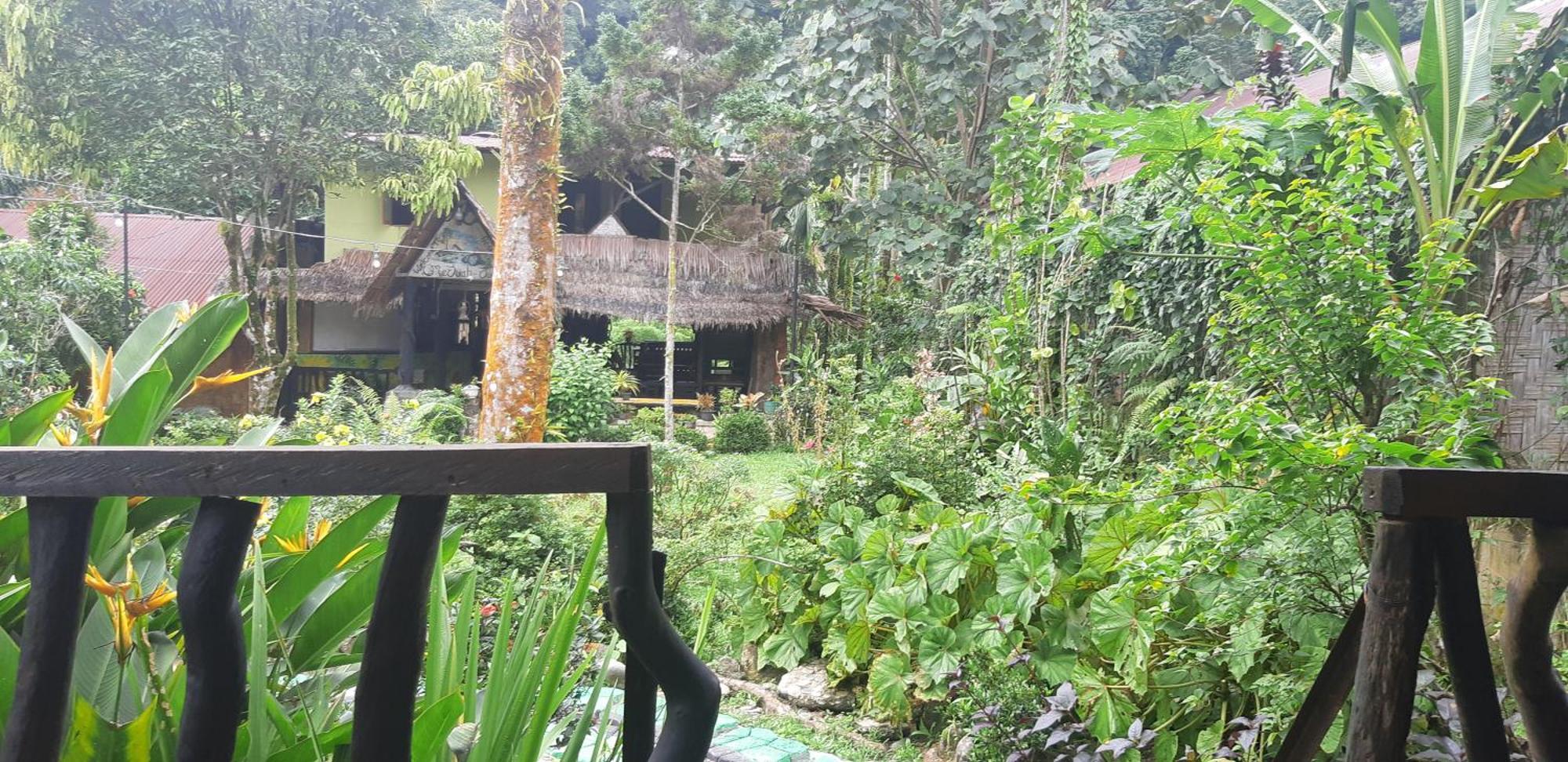 Mountain View Cottages & Villa Tangkahan Exterior photo