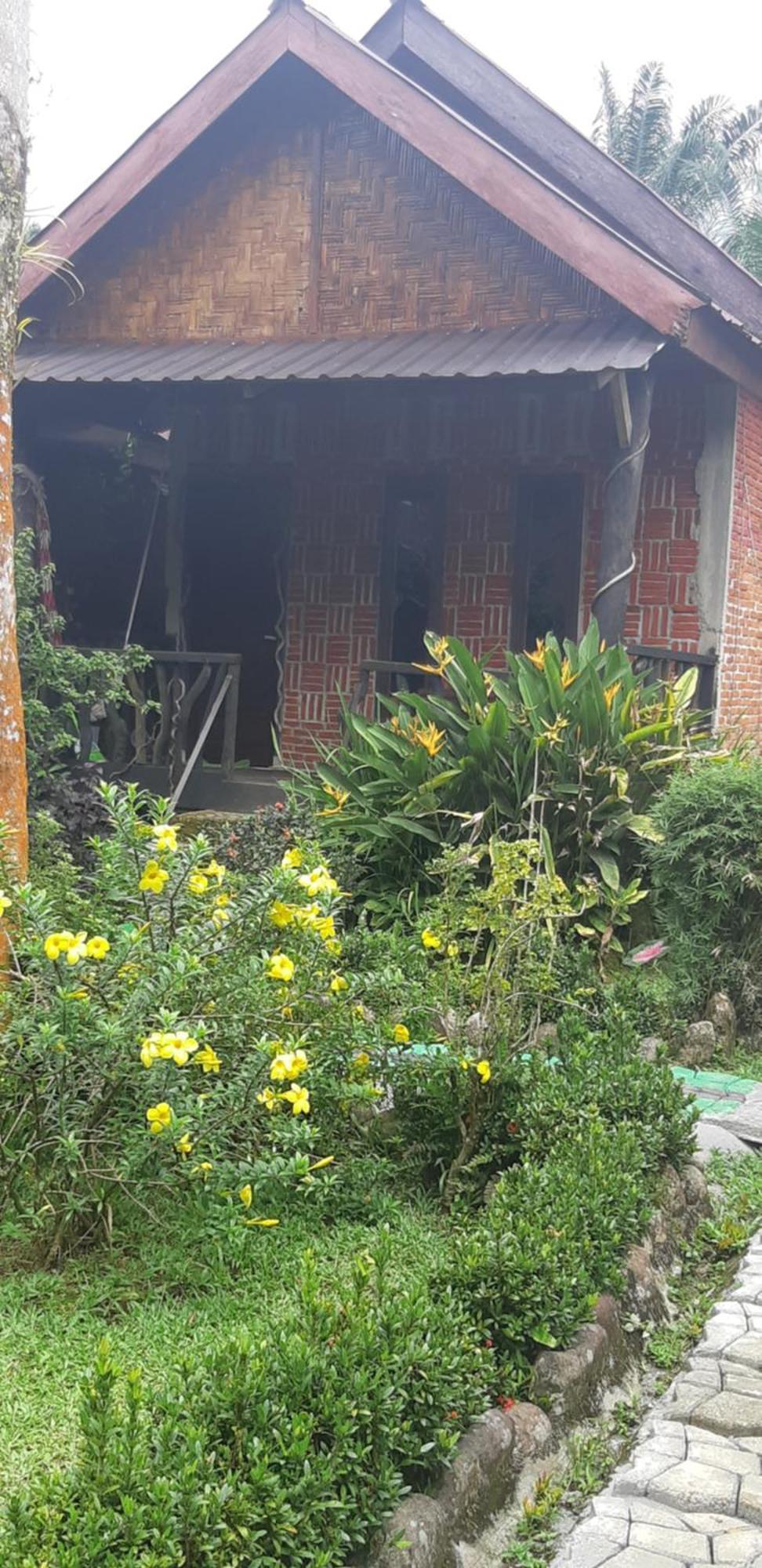 Mountain View Cottages & Villa Tangkahan Exterior photo